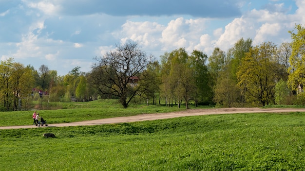 Фото Прогулка с коляской двух женщин на природе.