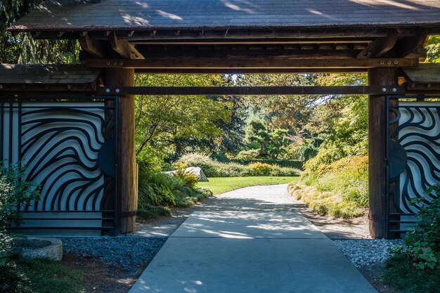 Photo walkway amidst trees