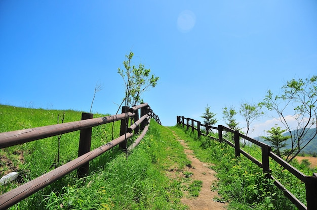 walkway amidst wooden fence on grassy field against blue sky
