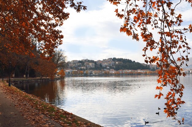 Photo walkway around on the lake kastoria greece