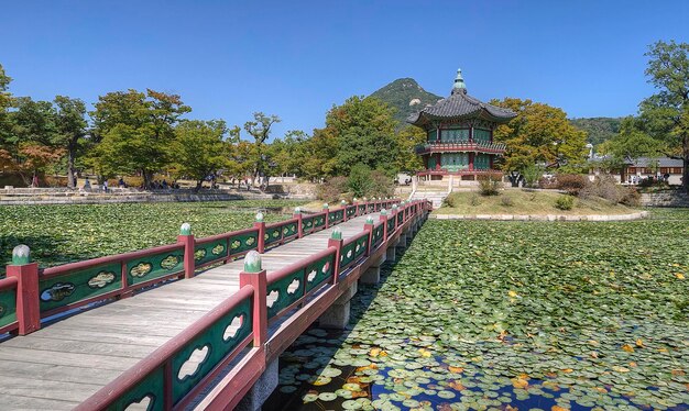 晴れた空を背景に公園の湖のそばの歩道