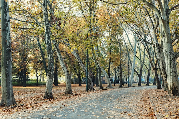 Walkway in central park of Budapest city in autumn season