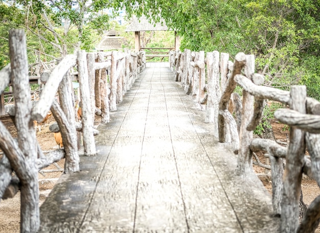 Walkway footbridge in park