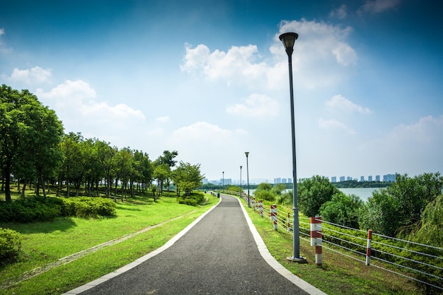 Walkway in garden at bangkokThailand