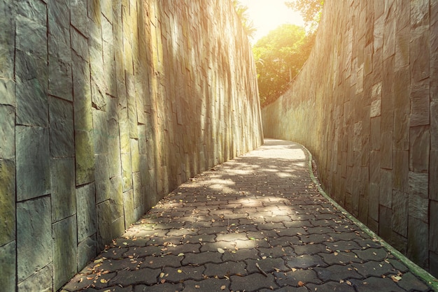 Walkway in garden in the morning with sunlight. Empty path for background.