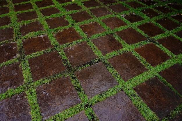 庭の緑の芝生の通路公園からの小道の通路地面の草の上に置かれたいくつかの石のブロック