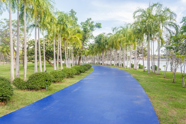 写真 公園の歩道。緑の公園でジョギングトラックがある風景