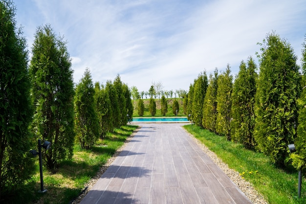 A walkway lined with tiles to the pool between the trees