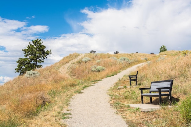 Walkway to the mountain top with vacant benches along the path