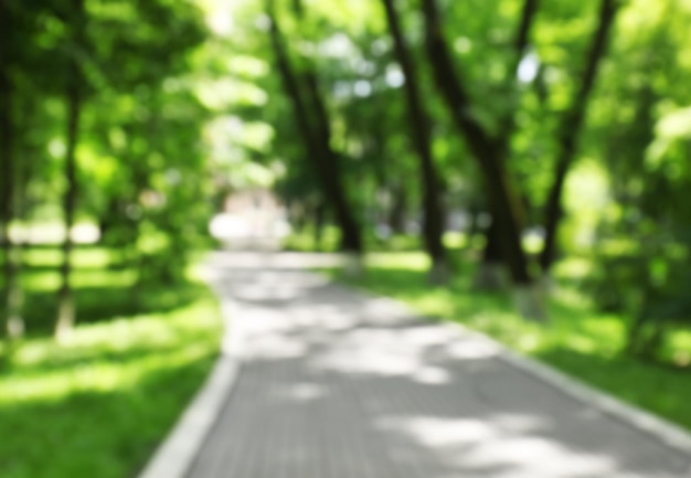 Photo walkway in park blurred background