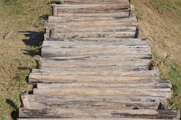 Walkway in the park on green grass