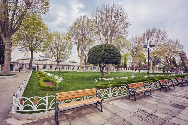 Walkway in the park with benches