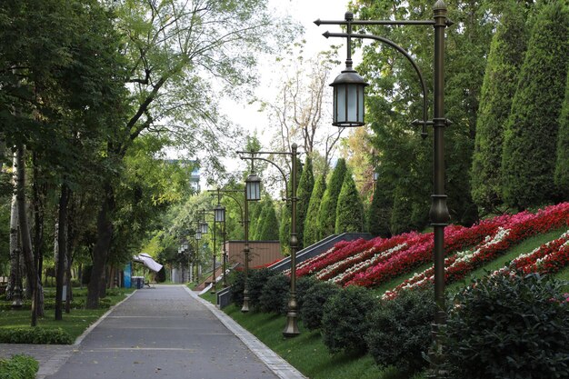 Дорожка в парке с зелеными деревьями и цветами на переднем плане