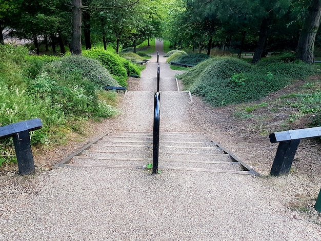 Photo walkway in park