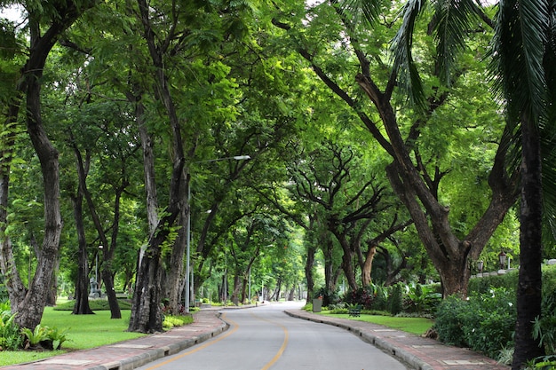 公共の公園の通路