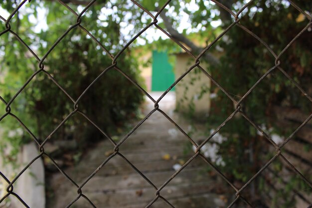 Walkway seen through chainlink fence