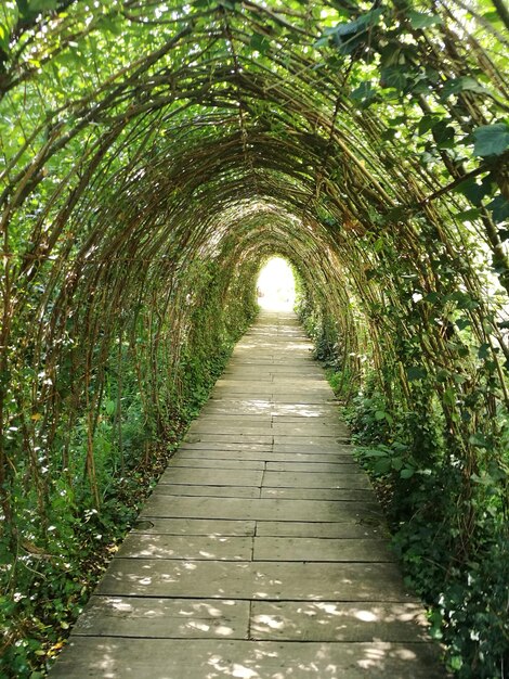 Photo walkway in tunnel