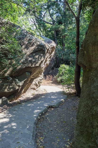 Walkway in the Vorontsov park