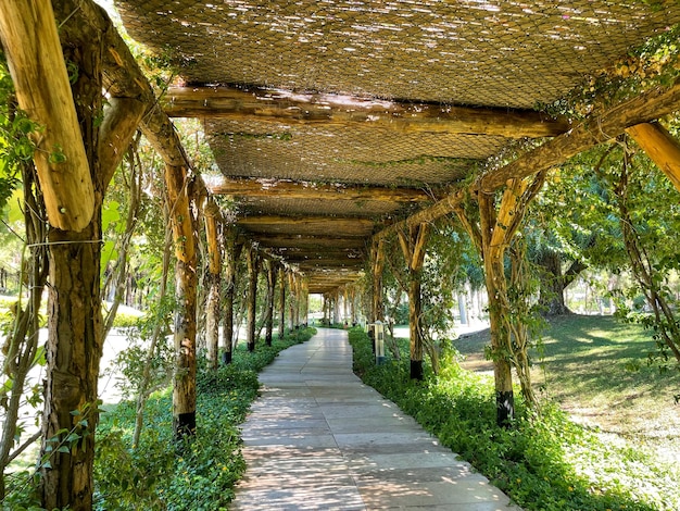 A walkway with a canopy over it that has a sign that says " the word " on it. "