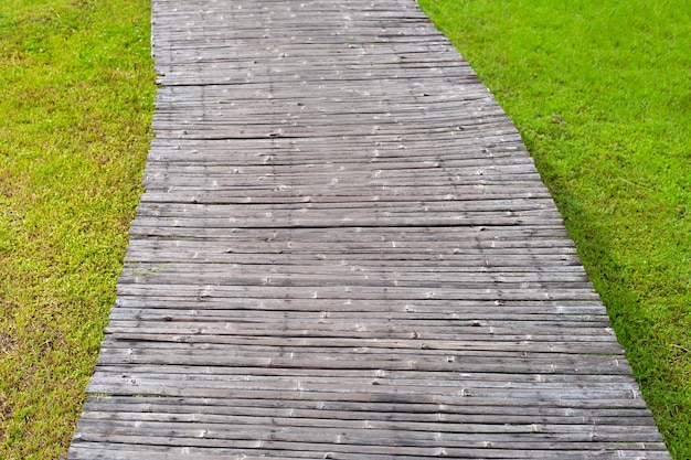 新鮮な芝生の草の歩道 美しい緑の庭