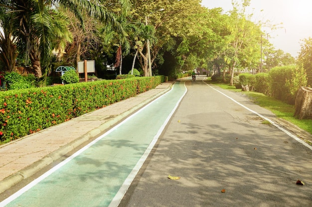 Walkways and bicycle paths in the park