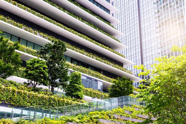 Photo wall of a building covered with plants