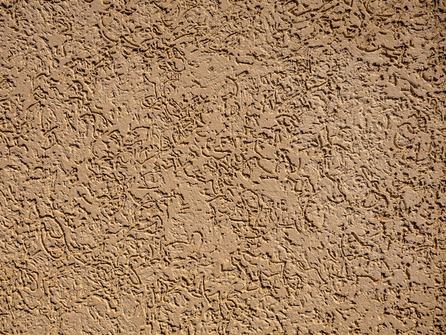 Photo wall coated bark beetle closeup for background