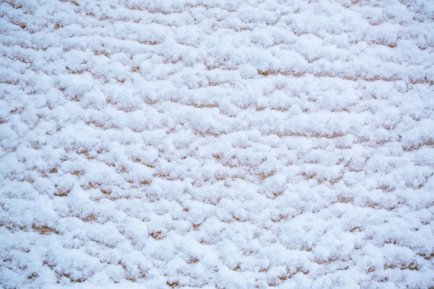 湿った雪で覆われた壁