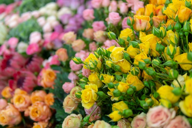 Wall of flowers and herbs.