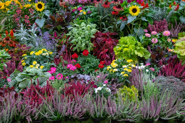 Wall of flowers and herbs.