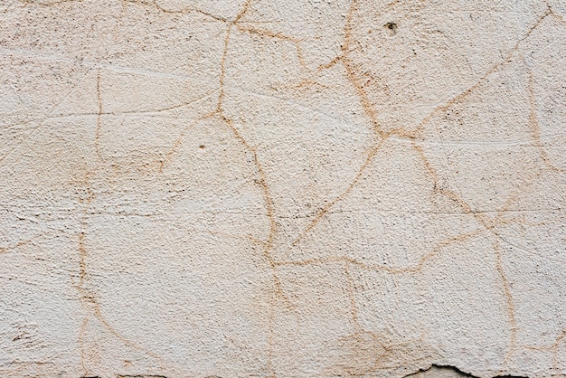 Wall fragment with scratches and cracks