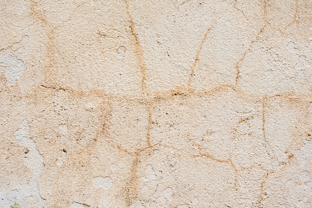 Wall fragment with scratches and cracks