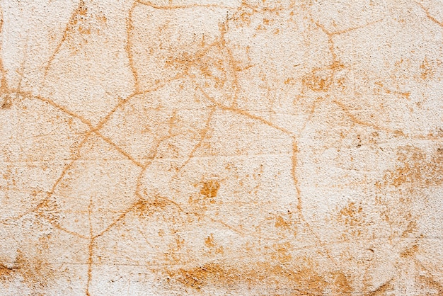 Wall fragment with scratches and cracks