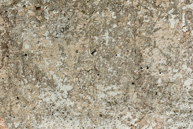 Wall fragment with scratches and cracks