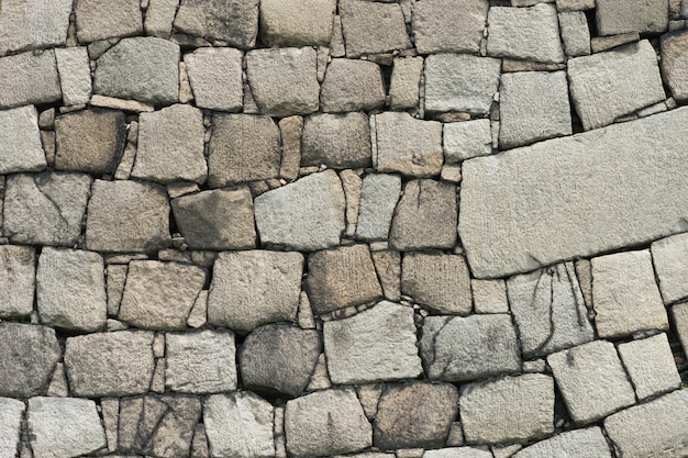 Wall of green foilage on a castle's external