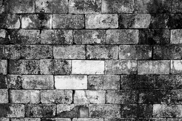 Wall grunge black and white brick colour background Dirty dust old grey wall panel brick backdrop