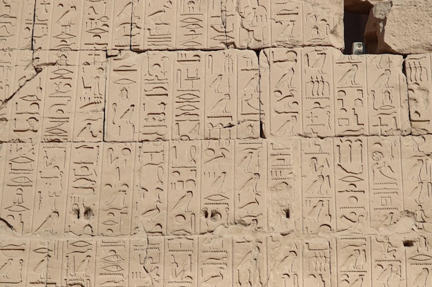 papyrus author free papyrus author free