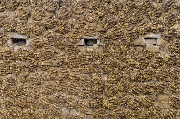 The wall of the house is made of dung in India background