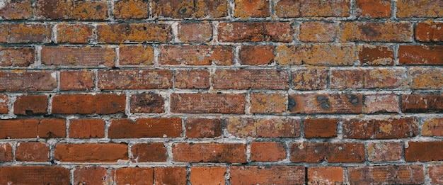 The wall is made of old orange bricks