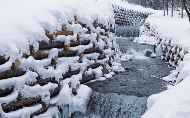 A wall of logs encloses a small stream in the forest near bare trees