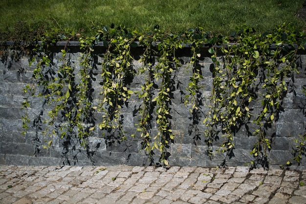 Wall made of the same type and same color of stones