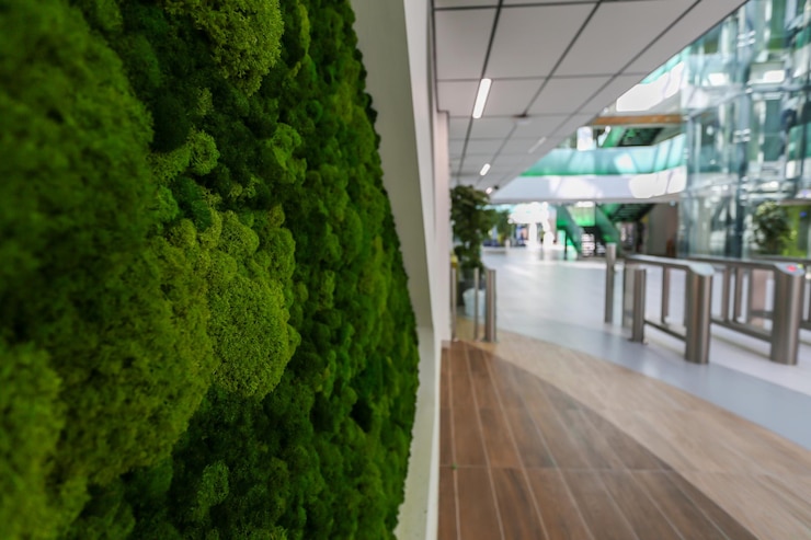 緑の苔で覆われたモダンなガラスの建物の壁