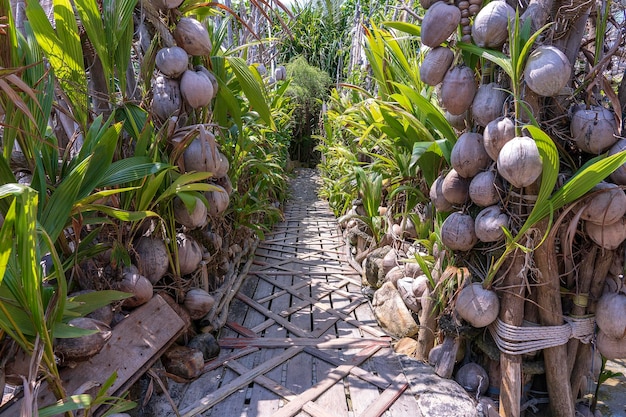 A wall of old coconuts and a wooden bridge on a tropical beach in island Koh Phangan Thailand Travel concept
