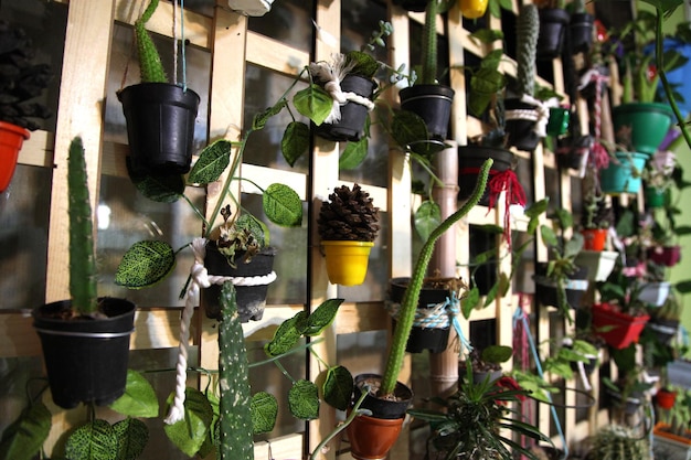 A wall of plants with a plant on it