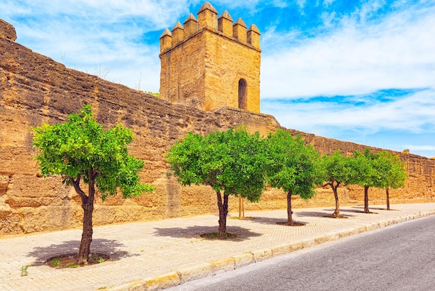 Photo wall of seville (muralla almohade de sevilla) are a series of defensive walls surrounding the old town