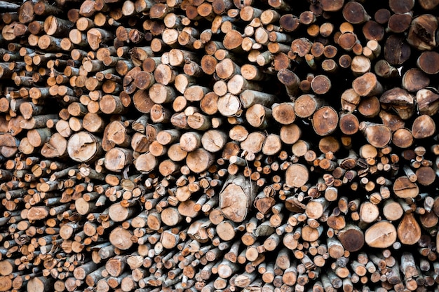 Wall of stacked wood logs as background.