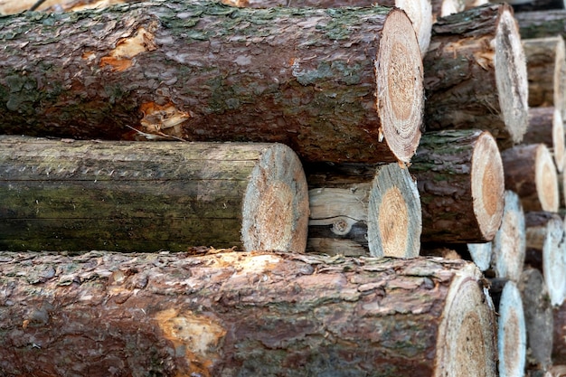 Wall of stacked wood logs for background many sawed pine logs\
stacked in a pile horizontal front view closeup background of dry\
chopped firewood logs stacked up on top of each other in a\
pile