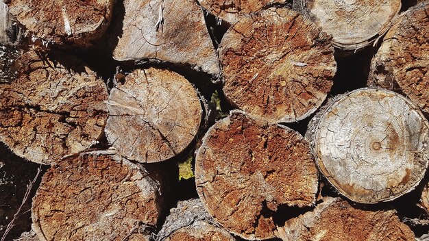 Wall of stacked wood logs closeup