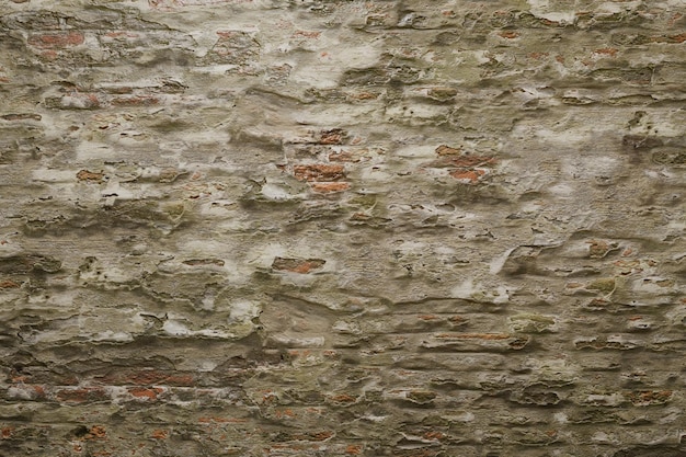 Wall Texture Background