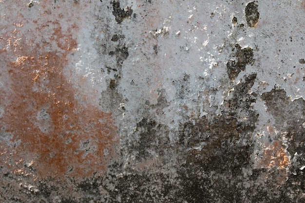 Wall textured background with old paint and mold.